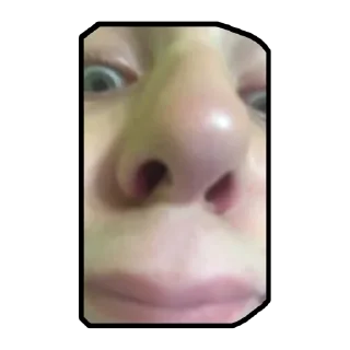 🤓 ochko mangusta, стікер Telegram 8 з 25