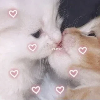 KИ$♡NYA