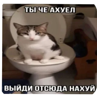 👍 Говнота от @zeroxkill, стикер Telegram 14 из 104
