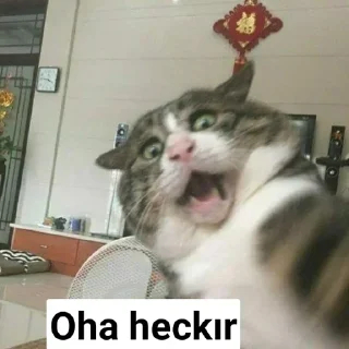 😎 LOKİ ÇİKARTMA SETİ, Telegram sticker 1 of 67