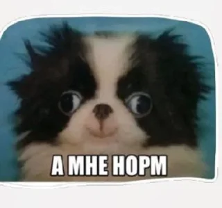 😀 Сабяки😩💞 (by @tayaays), Telegram sticker 10 of 18
