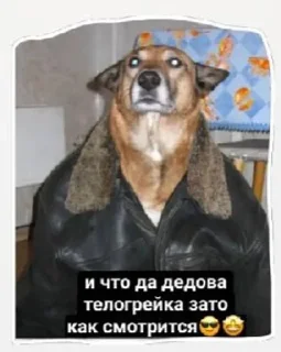 😌 Сабяки😩💞 (by @tayaays), Telegram sticker 16 of 18