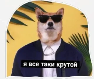 😎 Сабяки😩💞 (by @tayaays), Telegram sticker 18 of 18
