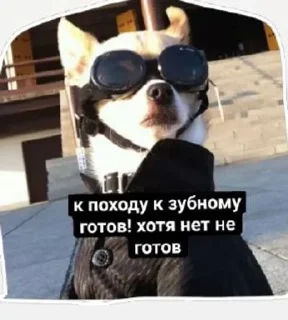 😬 Сабяки😩💞 (by @tayaays), Telegram sticker 17 of 18