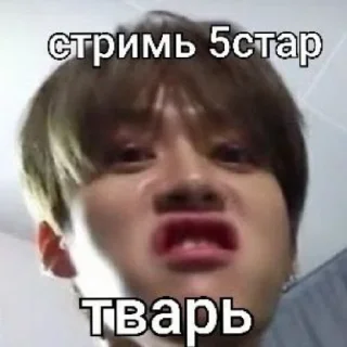 🐸 Бабка общается фотками, стикер Telegram 24 из 45