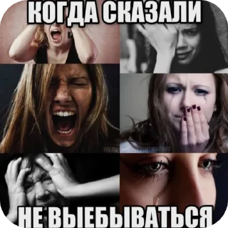 🚗 член в попе, стикер Telegram 18 из 25
