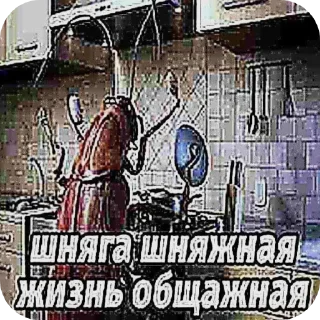 🖼 член в попе, стикер Telegram 6 из 25