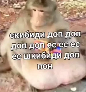 😭 monke, стікер Telegram 21 з 32