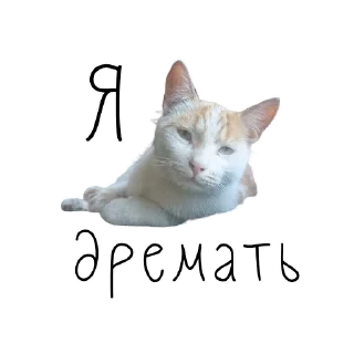 🏠 коты ишачат на заводе, стикер Telegram 23 из 34