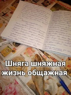 🤓 T22/9, стікер Telegram 16 з 26