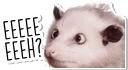 Opossum