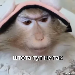 🤔 Вкрав мавпу, Telegram sticker 20 of 50
