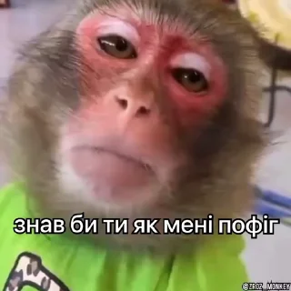 😐 Вкрав мавпу, Telegram sticker 6 of 50