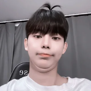 » 🪁 park bosung ! - @smstickerr