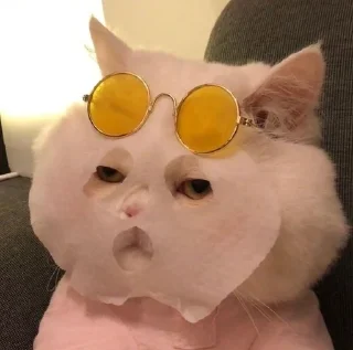 🧖 Ну шо ви браття, стикер Telegram 24 из 39
