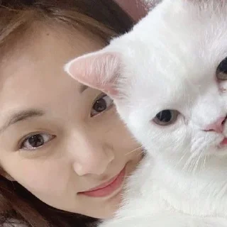 🦊 ((🦊)) #tzuyu : @h0pehelp, Telegram sticker 16 of 30