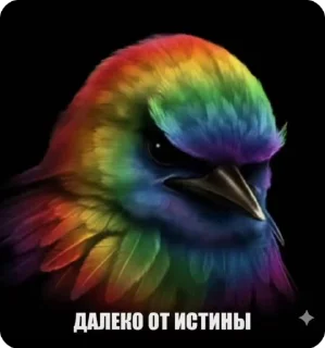 вам снились эти люди
