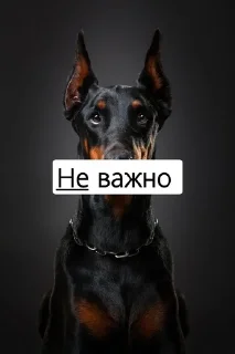 🙃 Я не могу печатать), стикер Telegram 5 из 33