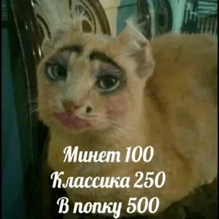 👅 бионикл, Telegram sticker 13 of 98