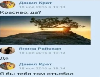 🌟 Тиф ебалай, Telegram sticker 18 of 77