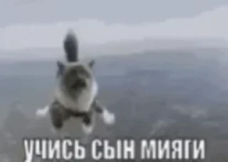 🌟 Упал с самоката, стикер Telegram 8 из 77