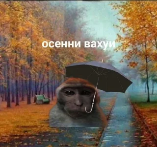 🌂 Вахуи, Telegram sticker 12 of 22