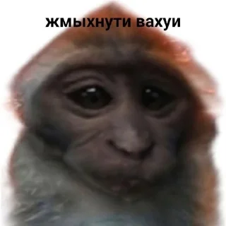 🧚 Вахуи, Telegram sticker 6 of 22