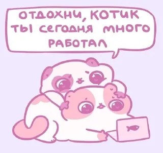 котики @diiinnnneeen