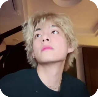 taehyung bts
@help_fr_liyong