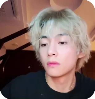 taehyung bts
@help_fr_liyong
