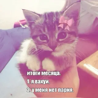 🗓️ CHANGE YOURSelF🎀, стікер Telegram 20 з 64