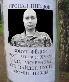 🌟 Буданов на каждый день, Telegram sticker 24 of 56