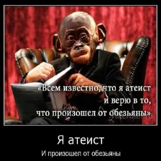 Атеисты сосут мой хуй