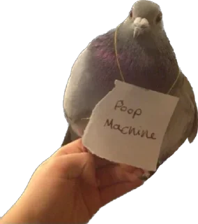 💩 pigeons for ania, стікер Telegram 14 з 20