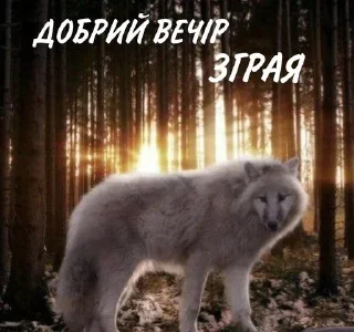 👋 українізація йолопів, Telegram sticker 23 of 47
