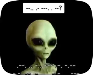 тик ток хуйня