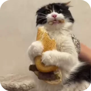 🌟 Juicy, стікер Telegram 18 з 20