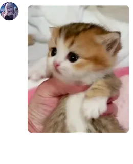 🙅 Цитаты кубов, sticker Telegram 9 sur 53