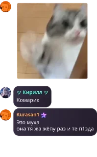👩‍❤️‍👩 Цитаты кубов, sticker Telegram 22 sur 53