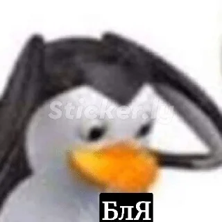 🥶 О чем думают обезьяны, Telegram sticker 11 of 40