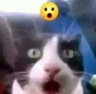 <3