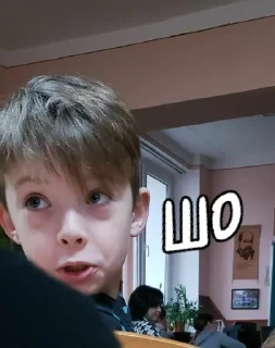 👀 6-Бклас😎, Telegram sticker 10 of 17