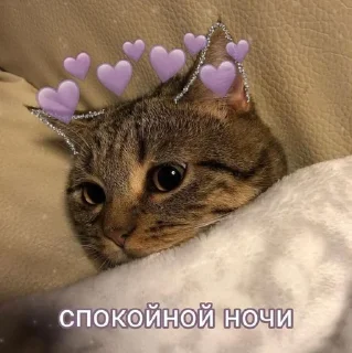 😴 Pishchdatye, sticker Telegram 8 sur 120