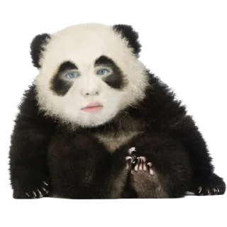 🐼 Gamma-Rays, стікер Telegram 20 з 73
