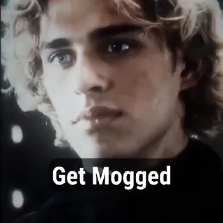 Get Mogged @Spider_Dimon