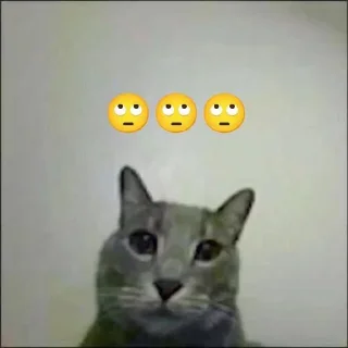 ⭐️ Все эмоции мира @Stikerhi_bot, sticker Telegram 6 sur 32
