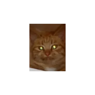 Дб