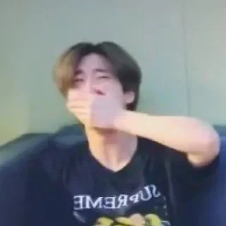😭 skzmeme✍🏻, стикер Telegram 21 из 45
