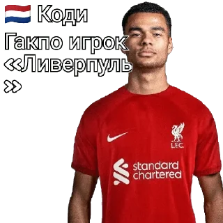 🇳🇱 @M_Hamidjon, sticker Telegram 7 sur 20