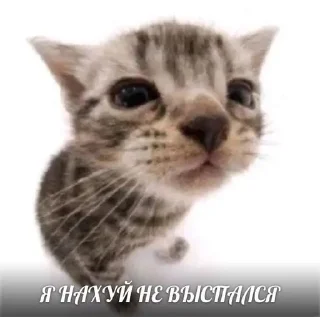 😖 лучшие пикчи. @vikikiii_1, sticker Telegram 15 sur 15